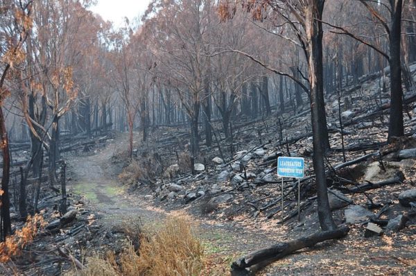 Bushfire Management Plan