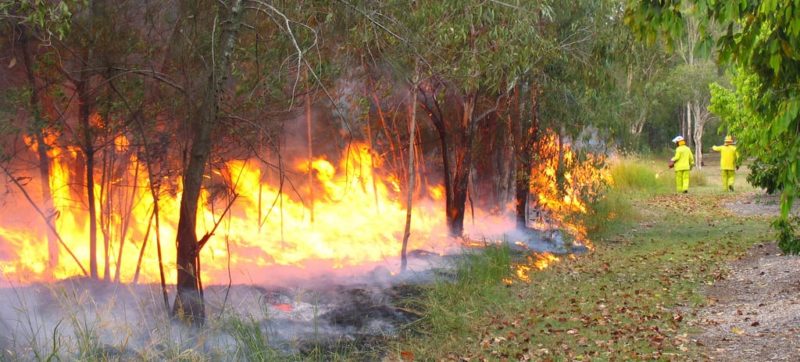 Bushfire Management Plan