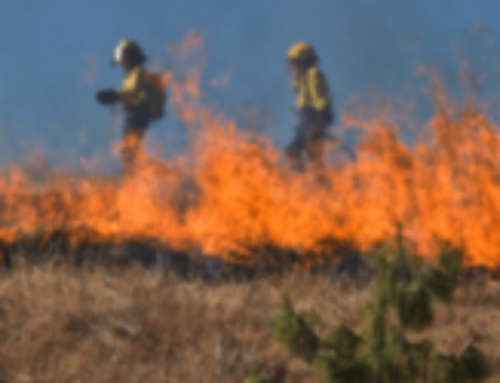 A Bushfire Attack Level (BAL) of BAL-FZ; Your Next Step