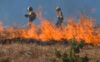Bushfire Management Plan