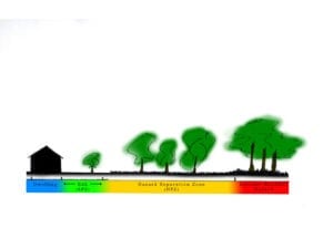 Bushfire Management Plan